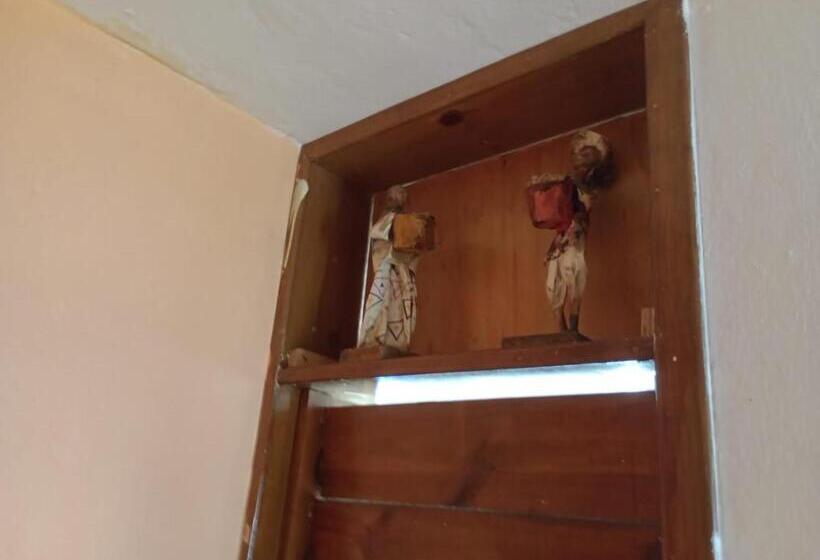 فندق Cancun Guest House