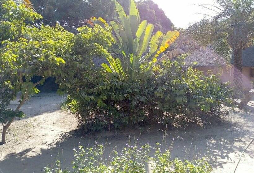 Hotel Campement Asseb