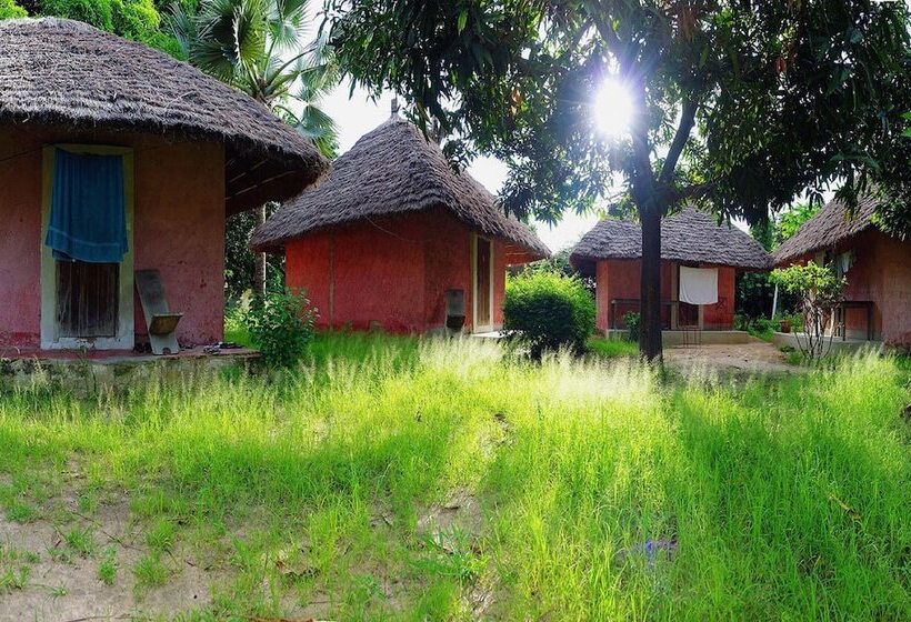 Hotel Campement Asseb