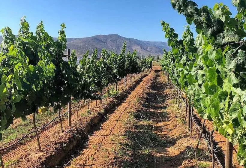 Hotelli Casa Urbina Wine Resort