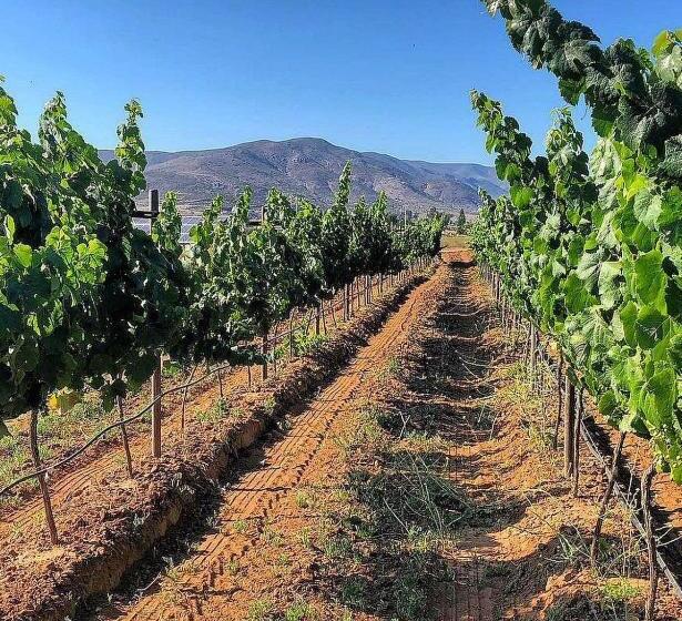 فندق Casa Urbina Wine Resort