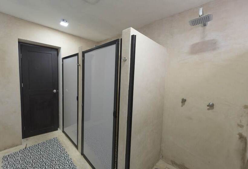 בית מלון כפרי Hostal Rosa Mexicano   Hostel