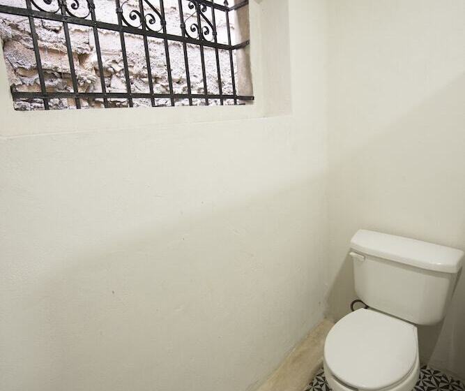 בית מלון כפרי Hostal Rosa Mexicano   Hostel