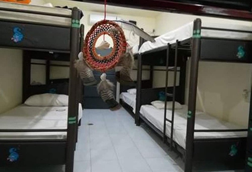 酒店 Kukulcan Hostel & Friends Tulum