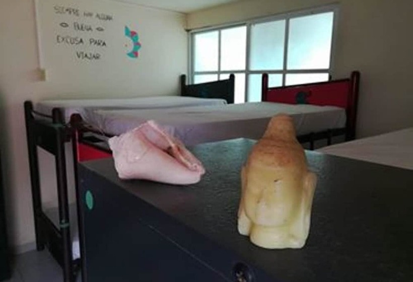 酒店 Kukulcan Hostel & Friends Tulum