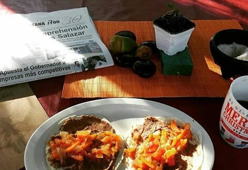 酒店 Kukulcan Hostel & Friends Tulum