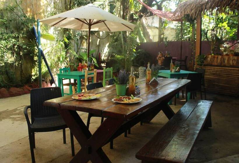 בית מלון כפרי La Morada Sayulita