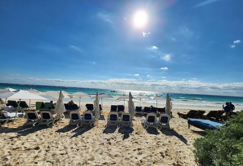 בית מלון כפרי Playa Las Palmas Glamping Tulum