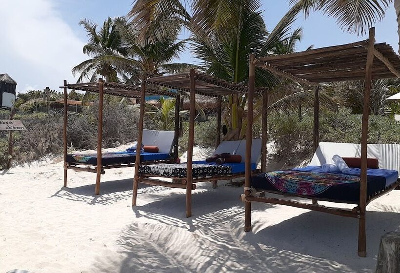 בית מלון כפרי Playa Las Palmas Glamping Tulum