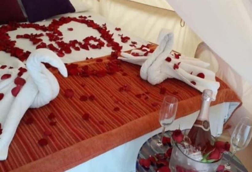 בית מלון כפרי Playa Las Palmas Glamping Tulum