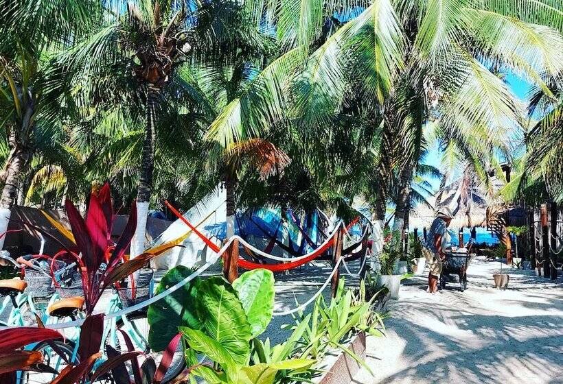 בית מלון כפרי Playa Las Palmas Glamping Tulum