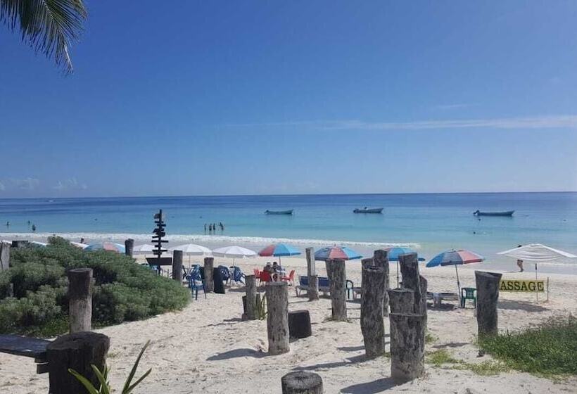 בית מלון כפרי Playa Las Palmas Glamping Tulum