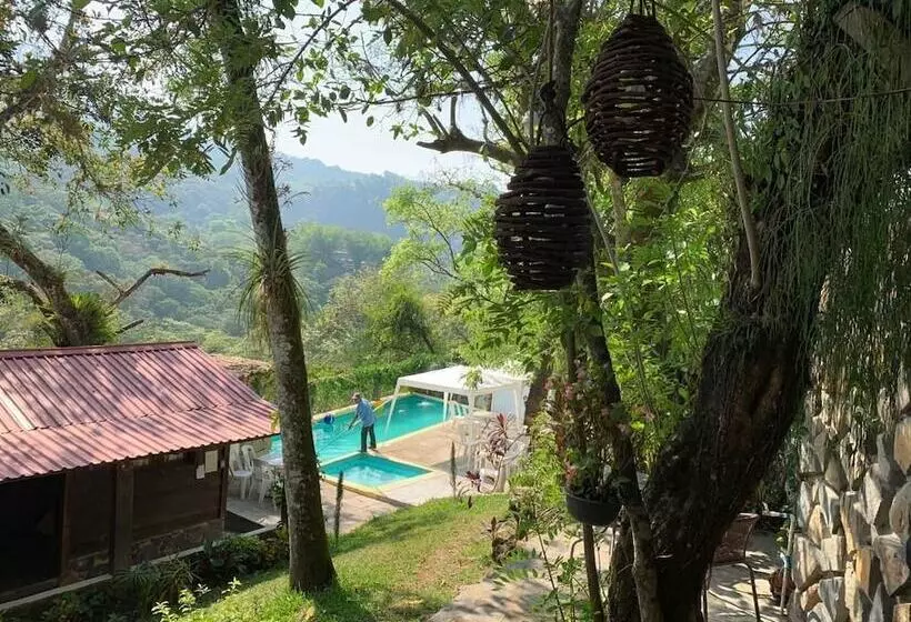 Hotelli Quinta Los Cedros