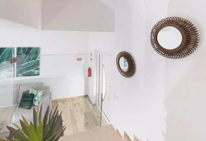 Aamiaismajoitus (B&B) Quinta Da Pontinha