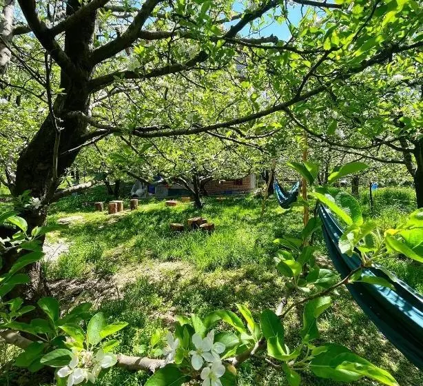 Flüstern Hostel And Café