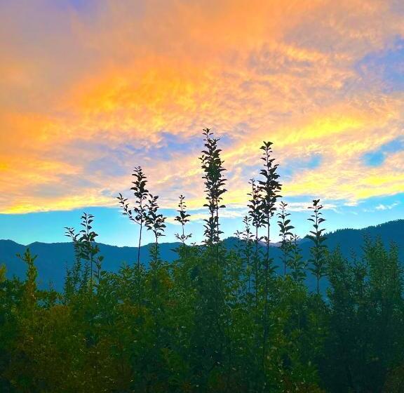 Flüstern Hostel And Café