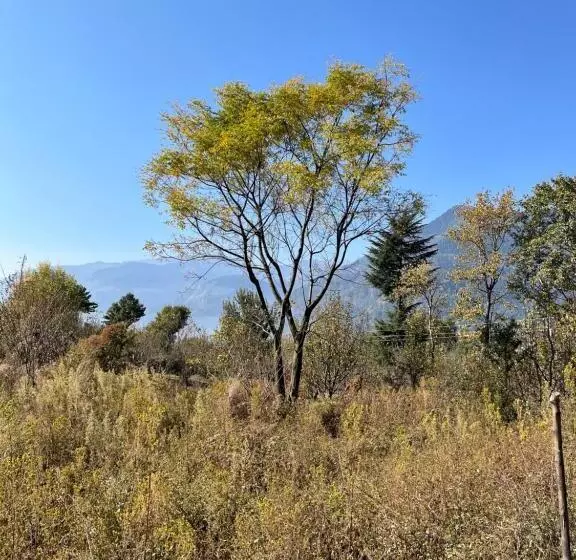 Flüstern Hostel And Café