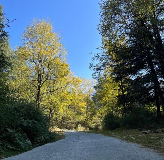 Flüstern Hostel And Café