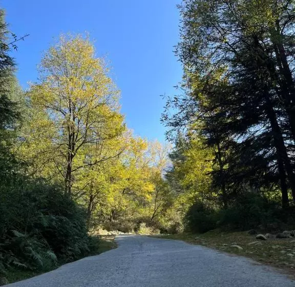 Flüstern Hostel And Café