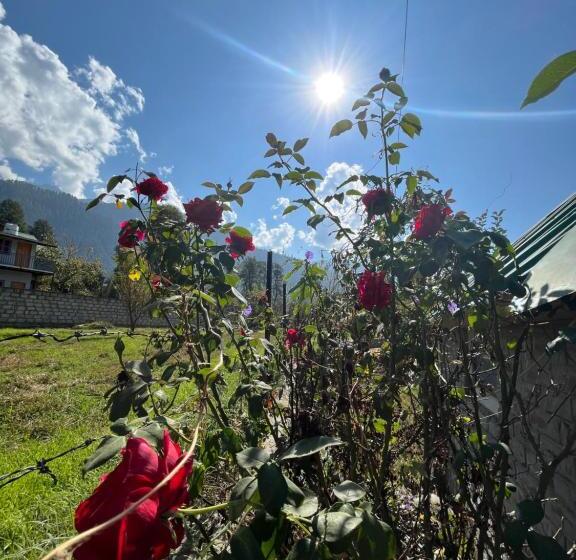 Flüstern Hostel And Café
