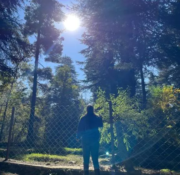 Flüstern Hostel And Café