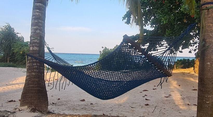 酒店 Mambo Beach Villas