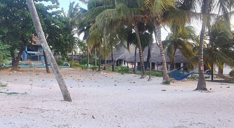 酒店 Mambo Beach Villas