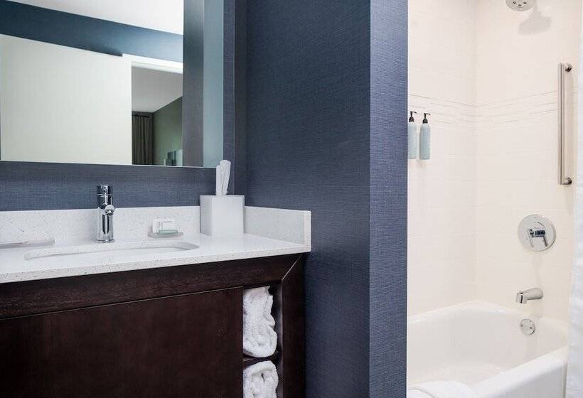 בית מלון כפרי Residence Inn By Marriott Decatur Emory Area