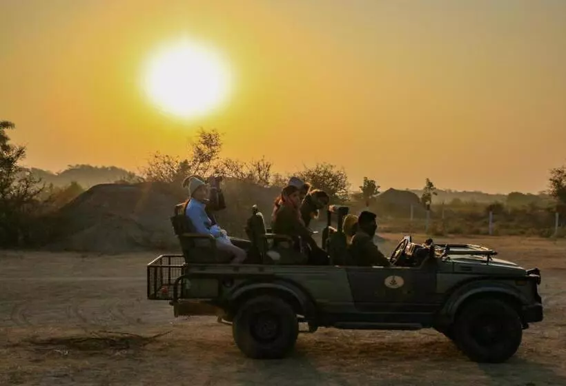 Jawai Bagpackers Hostel