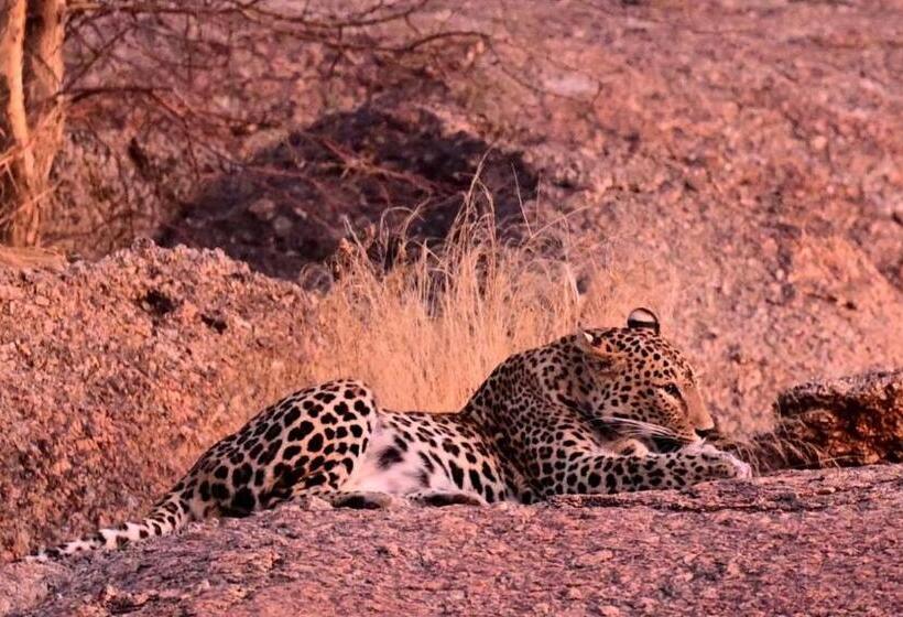 Jawai Bagpackers Hostel