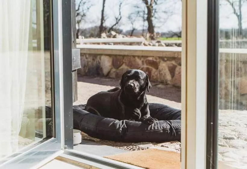 Gut Damp Ferien Lofts