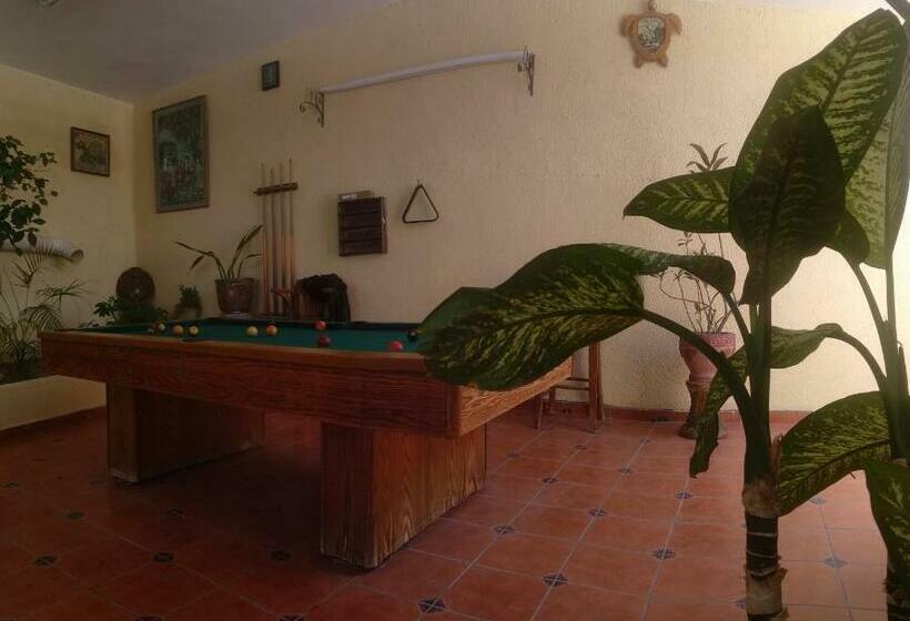 Pensione Room In Guest Room   Padrinos Hostal La Paz Full House