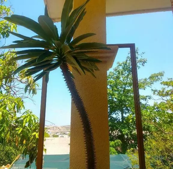 پانسیون Room In Guest Room Padrinos Hostal La Paz Full House
