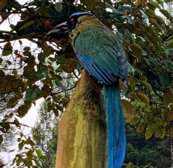 בית מלון כפרי Chalet De Fantasía  W Factory