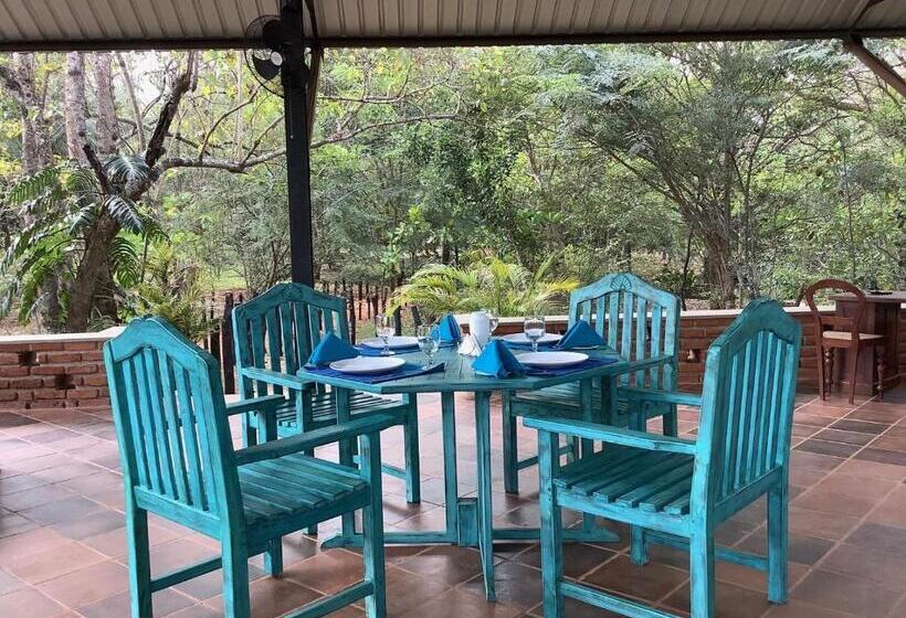 Hotel Mind Body And Soul