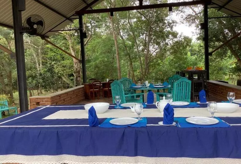 Hotelli Mind Body And Soul