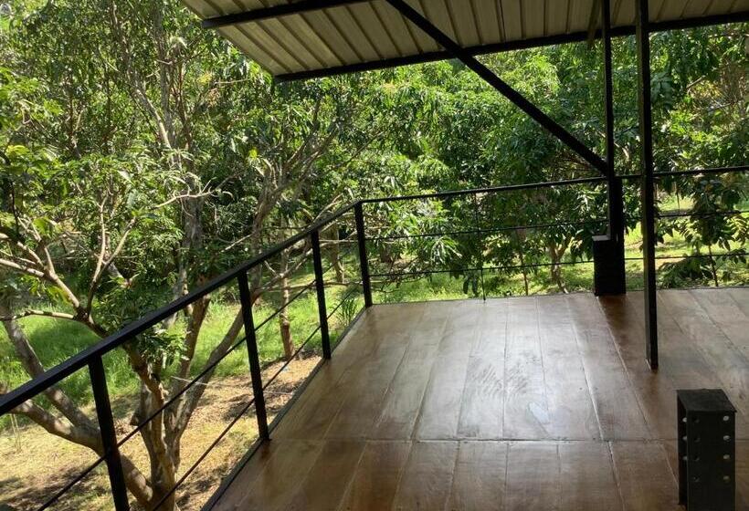 Hotel Mind Body And Soul