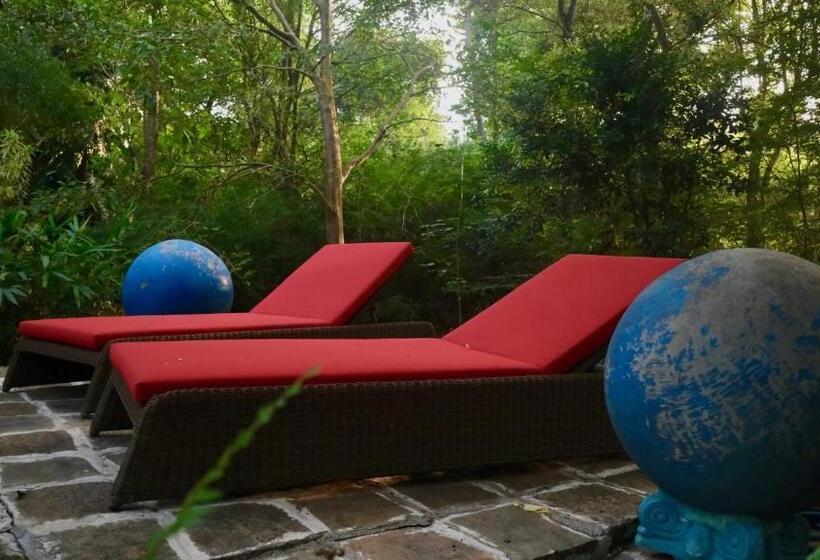 Hotel Mind Body And Soul