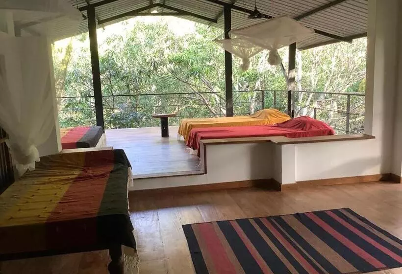 Hotelli Mind Body And Soul