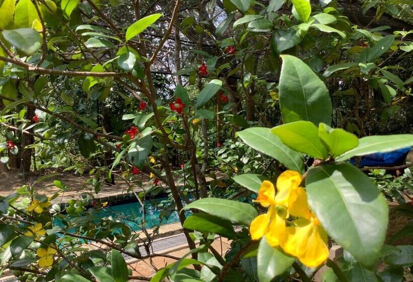 Hotel Mind Body And Soul