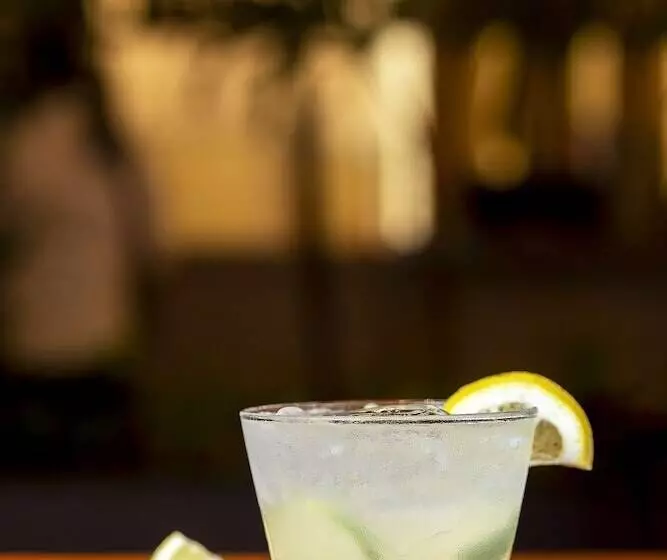 ホテル Slaviero Rondonopolis