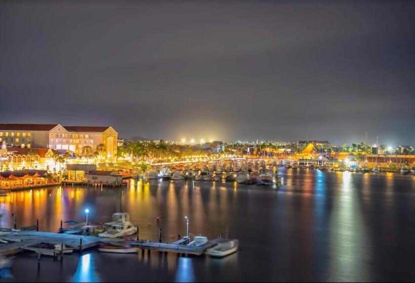 Ocean View Condo Overlooking The Caribbean Sea