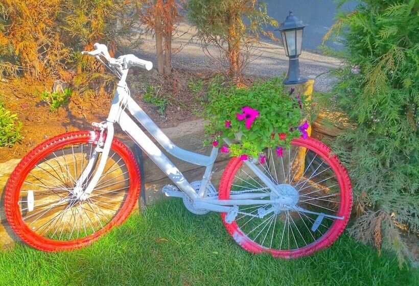 Hbs Boutique Hotel & Restaurant