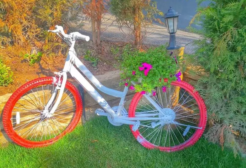 Hbs Boutique Hotel & Restaurant