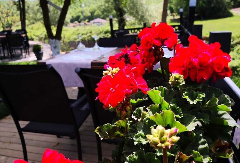 Hbs Boutique Hotel & Restaurant