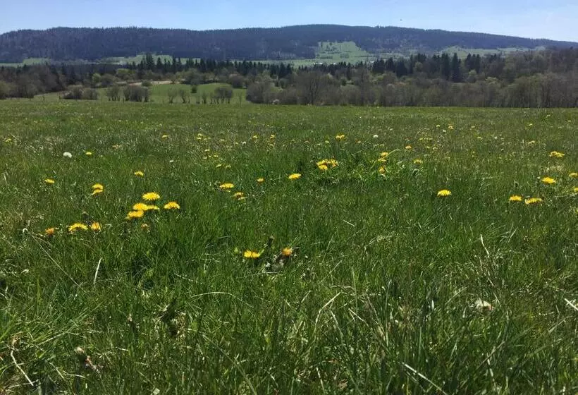 Hotelli Hôtel D’artiste