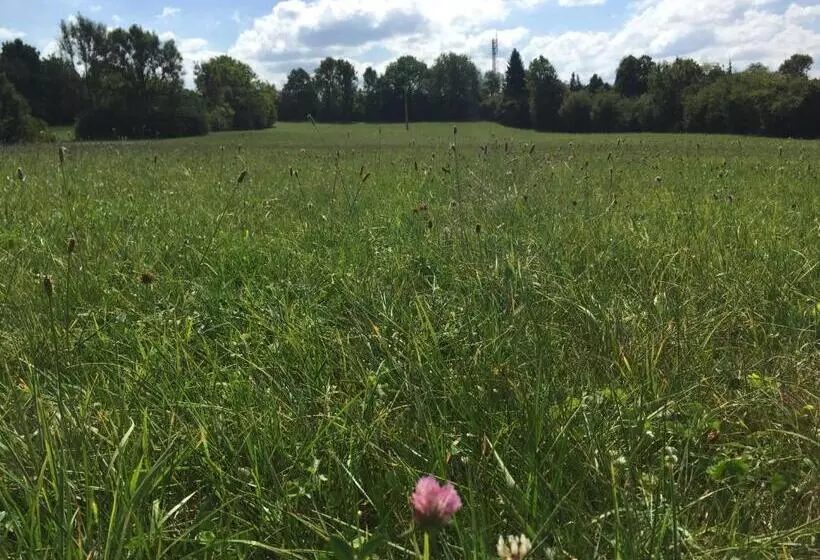 Hotelli Hôtel D’artiste