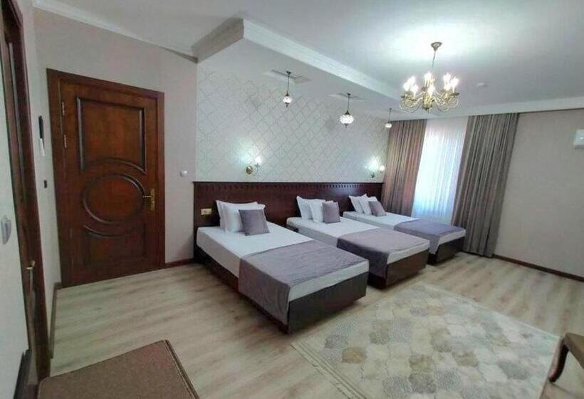 בית מלון כפרי Times