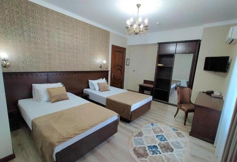 בית מלון כפרי Times