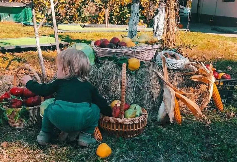 Hotelli Raza De Soare